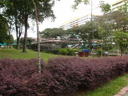 Blk 214 Petir Road (Bukit Panjang), HDB 3 Rooms #187452932